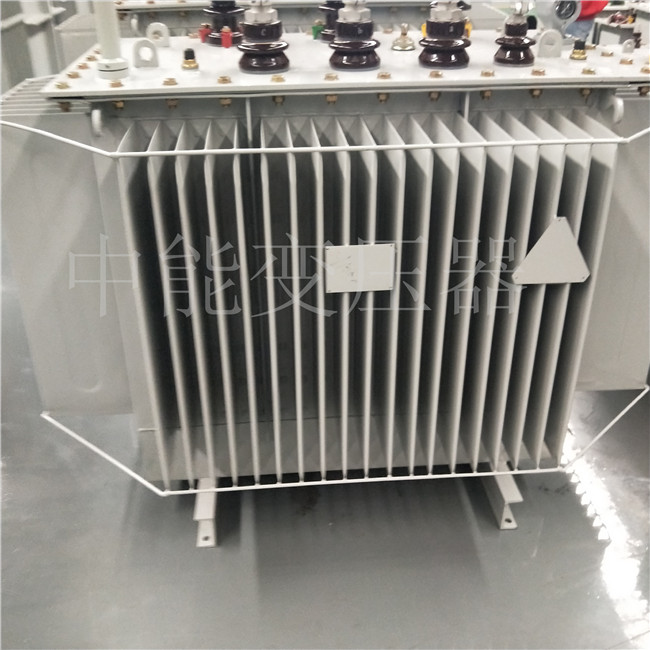 红河S20-800KVA变压器