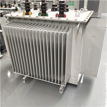 红河S20-1000KVA变压器