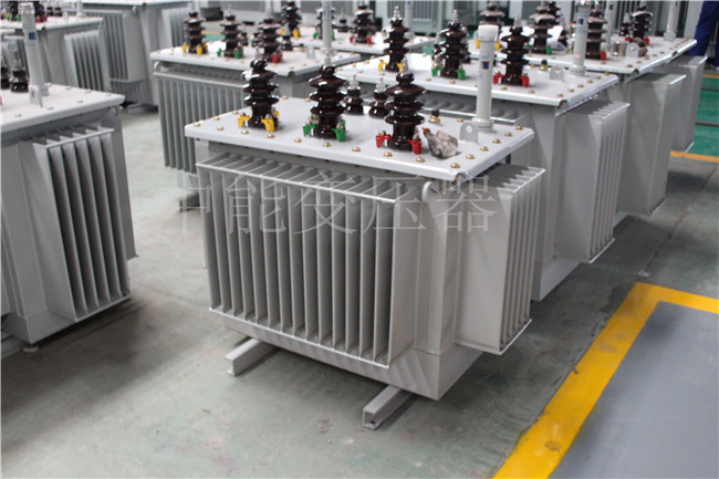 红河S22-250KVA/10KV变压器
